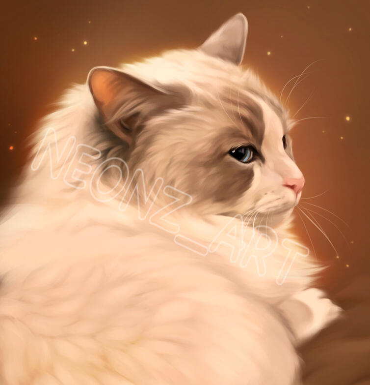 Half-body Portrait Example